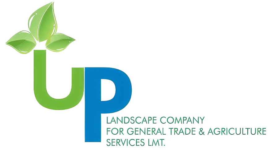 Up Landscape & Construction